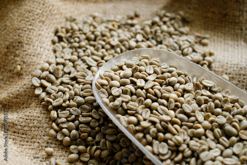 Quadro su tela Close up of raw green coffee beans in scoop on burlap fabric, natural texture background for coffee roasting, agriculture, specialty coffee, and food industry use