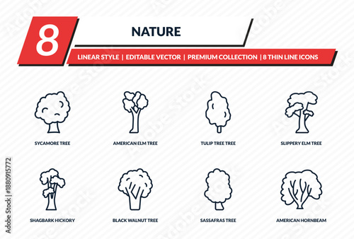 nature icons set - sycamore tree, american elm tree, tulip tree slippery elm american hornbeam outline vector collection.