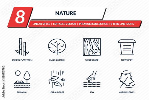 nature icons set - bamboo plant from japan, black oak tree, wood board, flowerpot, autumn leaves outline vector collection.
