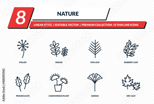 nature icons set - pollen, grains, yew leaf, bilberry leaf, dry leaf outline vector collection.