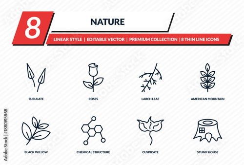 nature icons set - subulate, roses, larch leaf, american mountain ash, stump house outline vector collection.