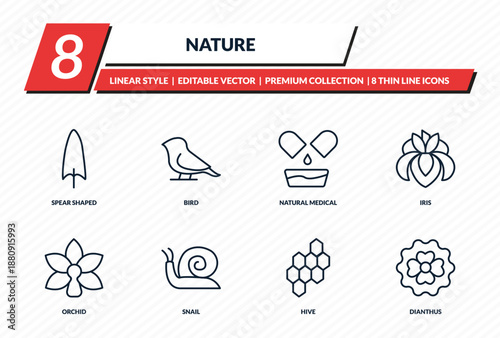 nature icons set - spear shaped, bird, natural medical pills, iris, dianthus outline vector collection.