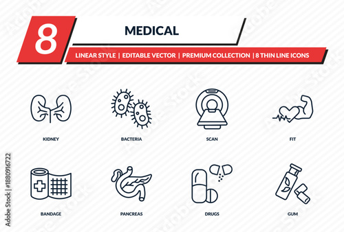 medical icons set - kidney, bacteria, scan, fit, gum outline vector collection.