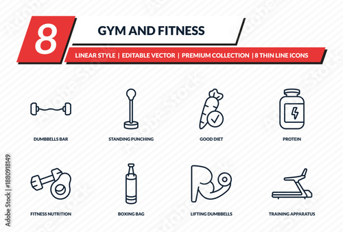 gym and fitness icons set - dumbbells bar, standing punching ball, good diet, protein, training apparatus outline vector collection.
