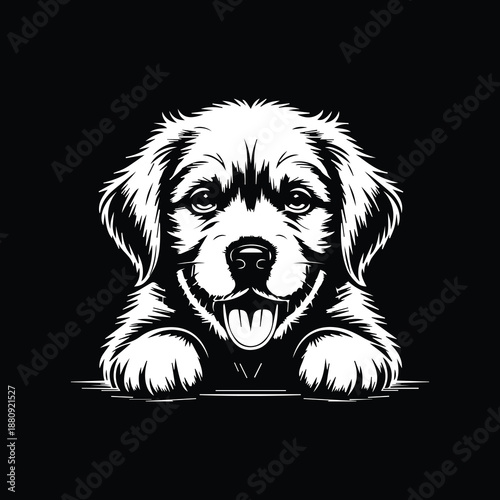 golden retriever dog