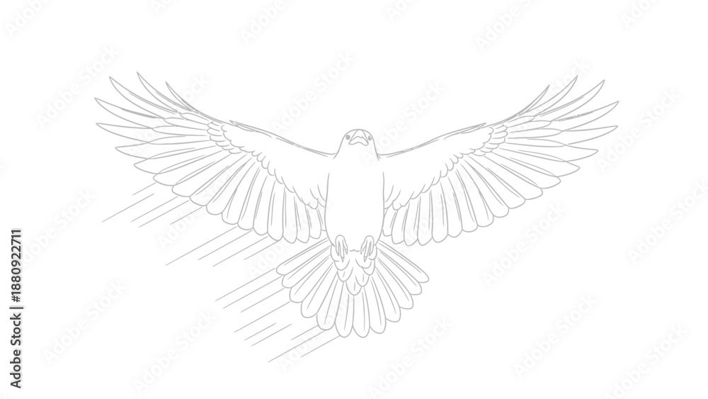 Fototapeta premium Adobe Illustrator Artwork