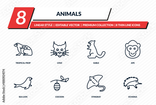 animals icons set - tropical frop, lynx, sable, ape, echidna outline vector collection.