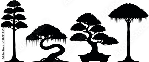 Black silhouette collection of oriental bonsai trees and tropical banyan figs with aerial roots isolated on white background for vector design