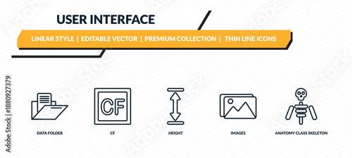 user interface icons set - data folder, cf, height, images, anatomy class skeleton outline vector collection.