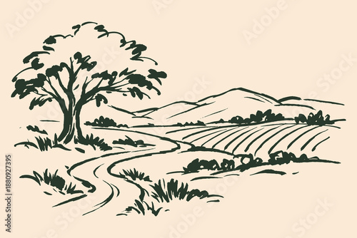 Countryside tree and fields sketch vector illustration