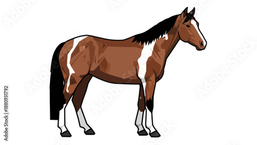 Horse Vector Illustration, Graphic Design, Equestrian, Animal, Isolated, Cartoon Style, White Background