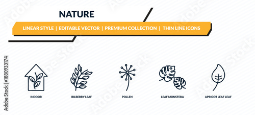 nature icons set - indoor, bilberry leaf, pollen, leaf monstera, apricot leaf outline vector collection.