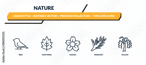 nature icons set - bird, hawthorn, sakura, rosemary, willow outline vector collection.