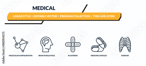 medical icons set - molecular configuration, brain in bald male head, plastering, medicine capsules, sternum outline vector collection.