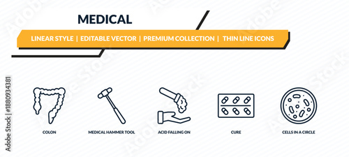 medical icons set - colon, medical hammer tool, acid falling on hand, cure, cells in a circle outline vector collection.