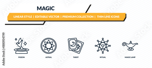 magic icons set - pigeon, astral, tarot, ritual, magic lamp outline vector collection.