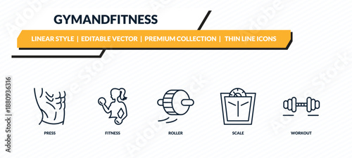 gymandfitness icons set - press, fitness, roller, scale, workout outline vector collection.