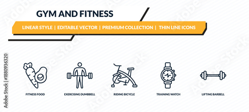gym and fitness icons set - fitness food, exercising dumbbell, riding bicycle, training watch, lifting barbell outline vector collection.