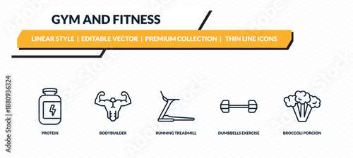gym and fitness icons set - protein, bodybuilder, running treadmill, dumbbells exercise, broccoli porcion outline vector collection.