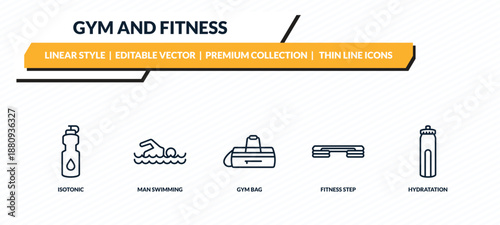 gym and fitness icons set - isotonic, man swimming, gym bag, fitness step, hydratation outline vector collection.