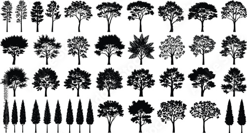 Tree silhouette collection vector set, black forest icons, nature plant shapes, botanical landscape elements, deciduous and conifer trees bundle