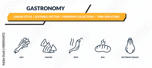 gastronomy icons set - leek, nachos, spice, bun, butternut squash outline vector collection.