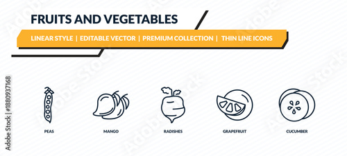 fruits and vegetables icons set - peas, mango, radishes, grapefruit, cucumber outline vector collection.