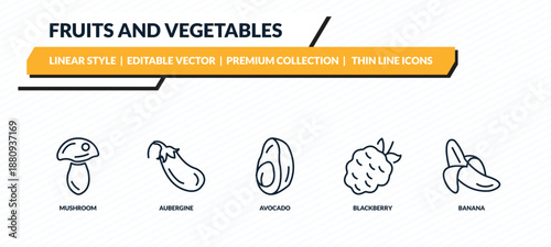 fruits and vegetables icons set - mushroom, aubergine, avocado, blackberry, banana outline vector collection.