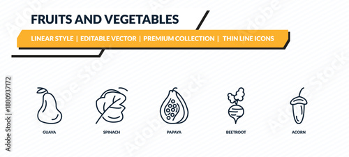 fruits and vegetables icons set - guava, spinach, papaya, beetroot, acorn outline vector collection.