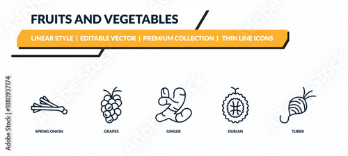 fruits and vegetables icons set - spring onion, grapes, ginger, durian, tuber outline vector collection.