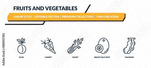 fruits and vegetables icons set - plum, carrot, celery, breast milk fruit, tamarind outline vector collection.