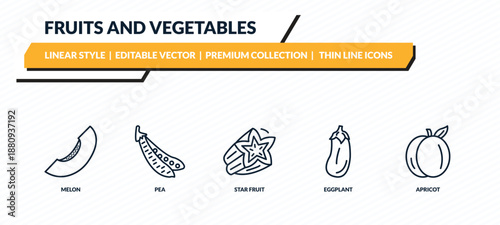 fruits and vegetables icons set - melon, pea, star fruit, eggplant, apricot outline vector collection.