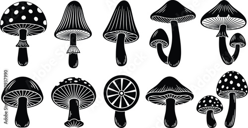 Mushroom silhouette set, forest fungi icons collection, botanical nature illustration, black and white toadstool vector design isolated