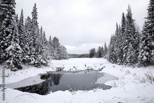 Photography Algonquin Winter Lake in Northern Ontario, snowy forest landscape