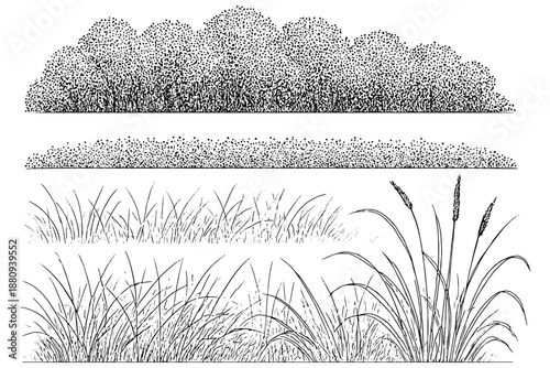 set of grass,
Ground Cover Grass Set – Minimal Forest Line CAD for Architecture