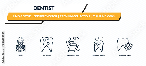 dentist icons set - clinic, bicuspid, examination, broken tooth, prophylaxis outline vector collection.