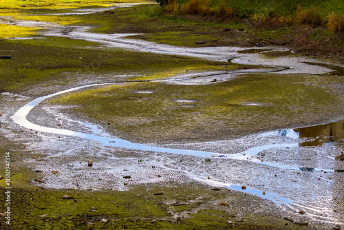 Wallpaper Mural Narrow water channel winds through muddy riverbed with algae patches. Debris and grassy banks visible along edges. Torontodigital.ca