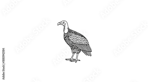 Detailed hand-drawn vulture illustration in black and white line art. Standing scavenger bird of prey on white background, wildlife graphic.