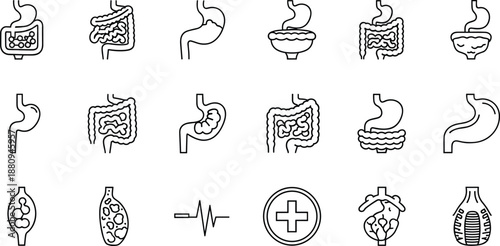 Digestive system line icon set featuring stomach, intestines, colon, gut health, and medical anatomy outline symbols