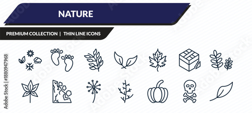 nature icons set - season, four toe footprint, rowan leaf, death, orange leaf outline vector collection.