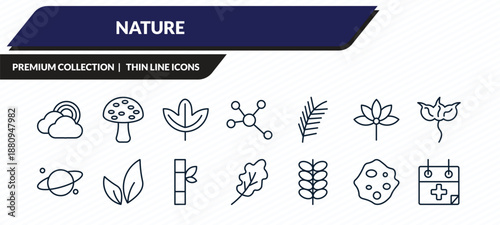 nature icons set - rainbow behind a cloud, amanita, sassafras leaf, orbicular, treatments outline vector collection.