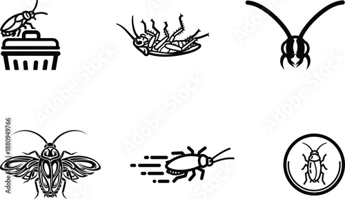black and white illustrations of various insects and bugs