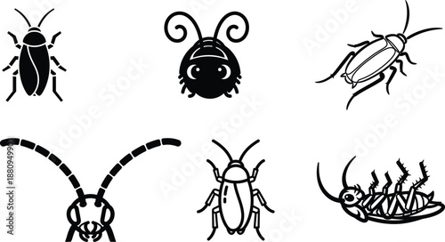 black and white illustrations of various insects