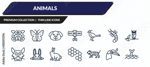 animals icons set - buttefly, japanese butterfly, dog head, hornbill, whale zone outline vector collection.