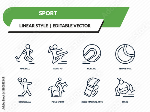 sport icons set - rinkball, kung fu, hurling, mixed martial arts, sumo outline vector collection.