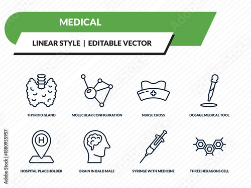 medical icons set - thyroid gland, molecular configuration, nurse cross, syringe with medicine, three hexagons cell outline vector collection.