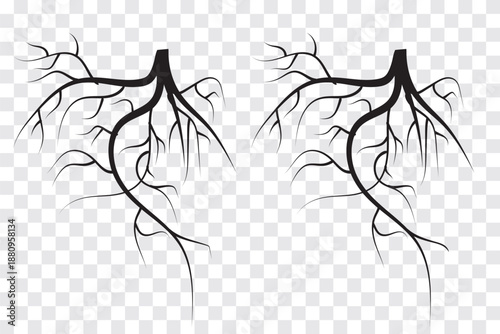 symmetric root silhouette. Black root icon. EPS 10.