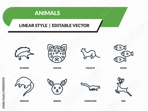 animals icons set - echidna, jaguar, polecat, mongoose, roe outline vector collection.