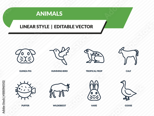 animals icons set - guinea pig, humming bird, tropical frop, hare, goose outline vector collection.