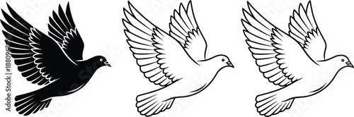 Flying dove bird silhouettes and outline illustration set, peace symbol wings spread, black and white vector isolated design